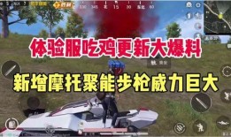 吃鸡国际服新枪爆料视频,神秘武器震撼来袭！