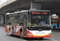 267路公交车爆料视频,惊现惊人一幕，视频曝光引网友热议